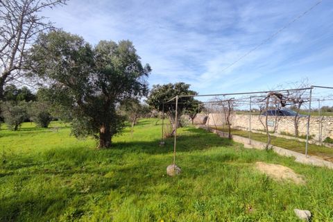 Terra a Salve, Lecce, Salve - € 80.000 | Ref: SALVEA-95 TER - foto 9