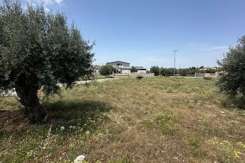 Apartament a Modica, Ragusa, Modica - € 3.500/mes | Ref: 11460 - foto 23