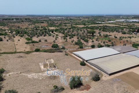 Villa a Taviano, Lecce, Taviano - € 69.000 | Ref: TAIL-RUST-69 - foto 34
