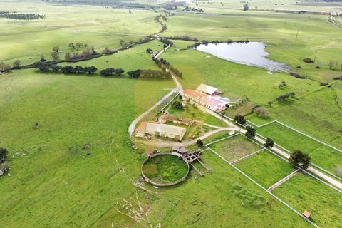 Landejendom i Evora, Evora, Evora - € 13.000.000 | Ref: PB2025447 - foto 2