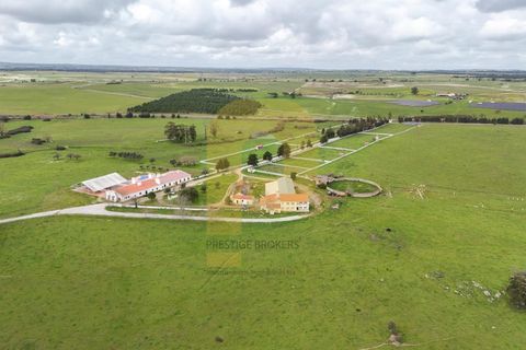Landejendom i Evora, Evora, Evora - € 13.000.000 | Ref: PB2025447 - foto 3