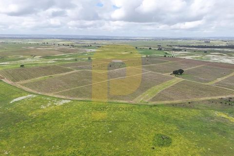 Landejendom i Evora, Evora, Evora - € 13.000.000 | Ref: PB2025447 - foto 4