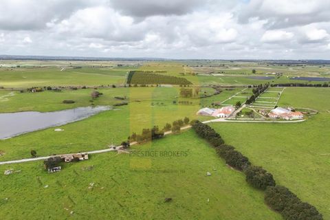 Landejendom i Evora, Evora, Evora - € 13.000.000 | Ref: PB2025447 - foto 5