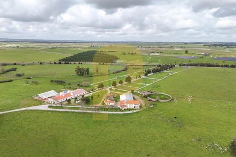Landejendom i Evora, Evora, Evora - € 13.000.000 | Ref: PB2025447 - foto 6