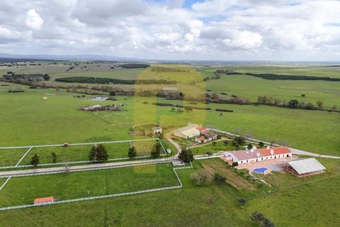 Landejendom i Evora, Evora, Evora - € 13.000.000 | Ref: PB2025447 - foto 7