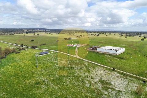 Landejendom i Evora, Evora, Evora - € 13.000.000 | Ref: PB2025447 - foto 11
