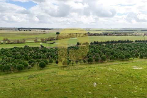 Landejendom i Evora, Evora, Evora - € 13.000.000 | Ref: PB2025447 - foto 14
