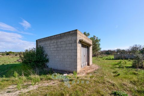 Terra a Matino, Lecce, Matino - € 70.000 | Ref: MATIL-STALLONE-70 - foto 2