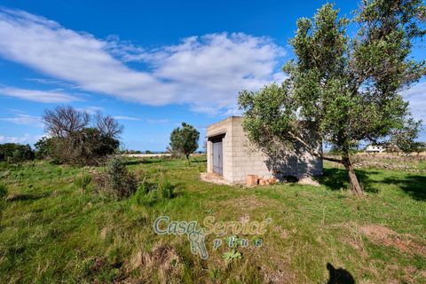 Terra a Matino, Lecce, Matino - € 70.000 | Ref: MATIL-STALLONE-70 - foto 3