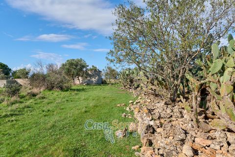 Terra a Matino, Lecce, Matino - € 70.000 | Ref: MATIL-STALLONE-70 - foto 6