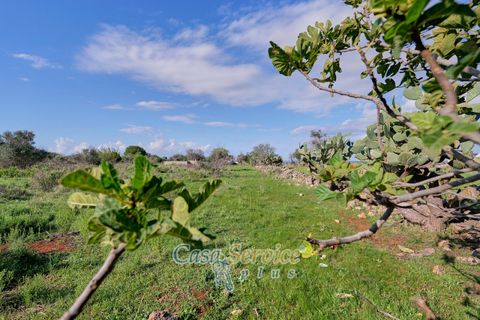 Terra a Matino, Lecce, Matino - € 70.000 | Ref: MATIL-STALLONE-70 - foto 7