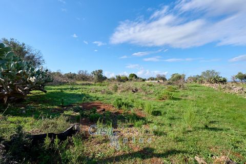 Terra a Matino, Lecce, Matino - € 70.000 | Ref: MATIL-STALLONE-70 - foto 8