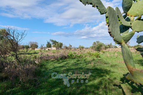 Terra a Matino, Lecce, Matino - € 70.000 | Ref: MATIL-STALLONE-70 - foto 9