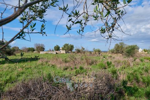 Terra a Matino, Lecce, Matino - € 70.000 | Ref: MATIL-STALLONE-70 - foto 10