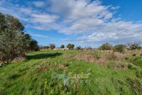 Terra a Matino, Lecce, Matino - € 70.000 | Ref: MATIL-STALLONE-70 - foto 11