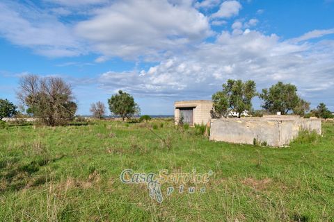 Terra a Matino, Lecce, Matino - € 70.000 | Ref: MATIL-STALLONE-70 - foto 12