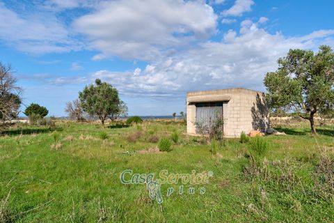 Terra a Matino, Lecce, Matino - € 70.000 | Ref: MATIL-STALLONE-70 - foto 13