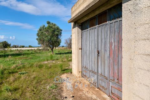 Terra a Matino, Lecce, Matino - € 70.000 | Ref: MATIL-STALLONE-70 - foto 14