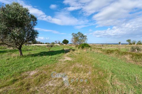 Terra a Matino, Lecce, Matino - € 70.000 | Ref: MATIL-STALLONE-70 - foto 15