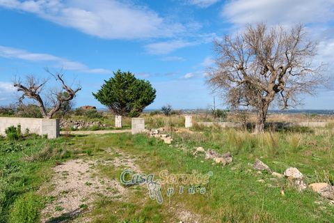 Terra a Matino, Lecce, Matino - € 70.000 | Ref: MATIL-STALLONE-70 - foto 16