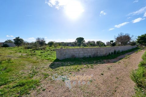 Terra a Matino, Lecce, Matino - € 70.000 | Ref: MATIL-STALLONE-70 - foto 17