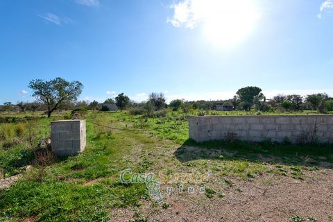 Terra a Matino, Lecce, Matino - € 70.000 | Ref: MATIL-STALLONE-70 - foto 18