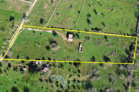 Terra a Matino, Lecce, Matino - € 70.000 | Ref: MATIL-STALLONE-70 - foto 19