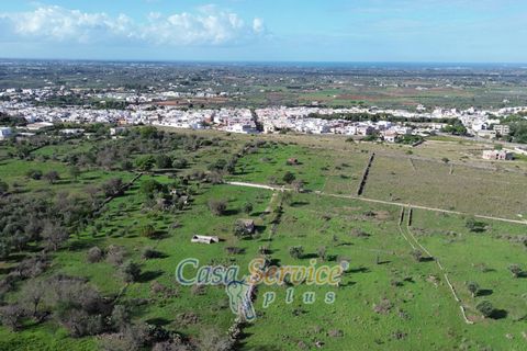 Terra a Matino, Lecce, Matino - € 70.000 | Ref: MATIL-STALLONE-70 - foto 20