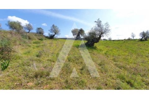 Helårsgrund i Alenquer, Lisbon, Alenquer - € 120.000 | Ref: 1300209/24NL - foto 3