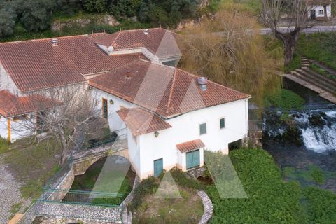 Farm i Pombal, Leiria, Pombal - € 380.000 | Ref: 1300040/23NL - foto 2