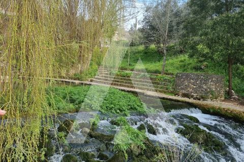Farm i Pombal, Leiria, Pombal - € 380.000 | Ref: 1300040/23NL - foto 3