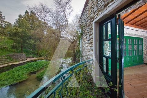 Farm i Pombal, Leiria, Pombal - € 380.000 | Ref: 1300040/23NL - foto 4