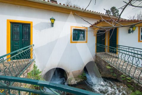 Farm i Pombal, Leiria, Pombal - € 380.000 | Ref: 1300040/23NL - foto 5