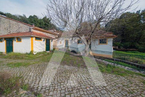 Farm i Pombal, Leiria, Pombal - € 380.000 | Ref: 1300040/23NL - foto 6