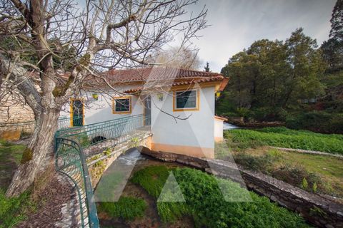 Farm i Pombal, Leiria, Pombal - € 380.000 | Ref: 1300040/23NL - foto 27