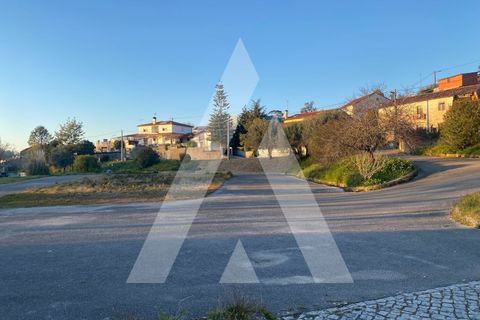 Farm i Pombal, Leiria, Pombal - € 380.000 | Ref: 1300040/23NL - foto 28