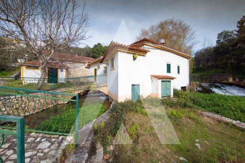 Farm i Pombal, Leiria, Pombal - € 380.000 | Ref: 1300040/23NL - foto 29