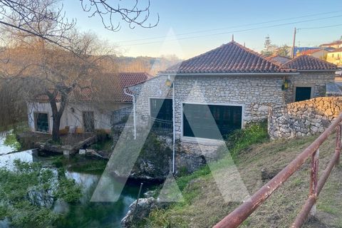 Farm i Pombal, Leiria, Pombal - € 380.000 | Ref: 1300040/23NL - foto 30