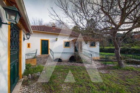 Farm i Pombal, Leiria, Pombal - € 380.000 | Ref: 1300040/23NL - foto 31