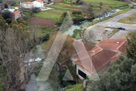 Farm i Pombal, Leiria, Pombal - € 380.000 | Ref: 1300040/23NL - foto 32
