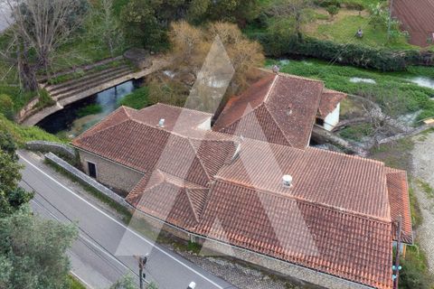 Farm i Pombal, Leiria, Pombal - € 380.000 | Ref: 1300040/23NL - foto 33