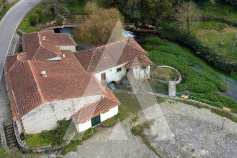 Farm i Pombal, Leiria, Pombal - € 380.000 | Ref: 1300040/23NL - foto 34