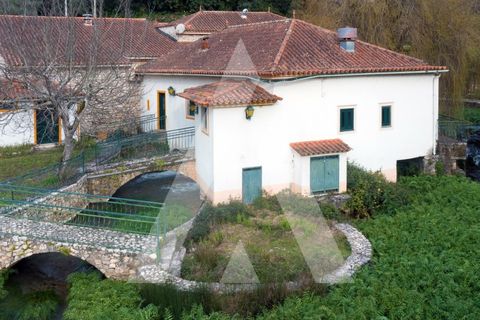 Farm i Pombal, Leiria, Pombal - € 380.000 | Ref: 1300040/23NL - foto 35