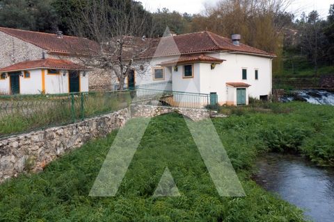 Farm i Pombal, Leiria, Pombal - € 380.000 | Ref: 1300040/23NL - foto 36