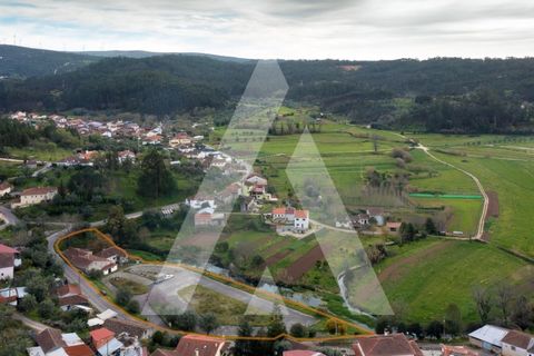 Farm i Pombal, Leiria, Pombal - € 380.000 | Ref: 1300040/23NL - foto 37