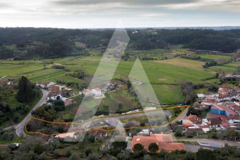Farm i Pombal, Leiria, Pombal - € 380.000 | Ref: 1300040/23NL - foto 38