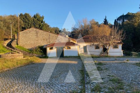 Farm i Pombal, Leiria, Pombal - € 380.000 | Ref: 1300040/23NL - foto 40