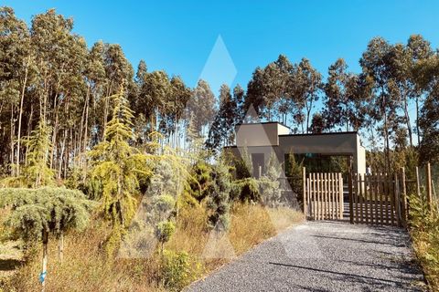 Villa i Pombal, Leiria, Pombal - € 750.000 | Ref: 1300149/23NL - foto 38