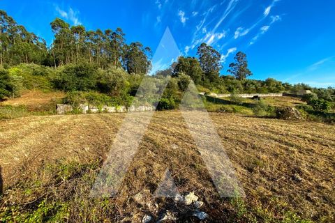 Helårsgrund i Alqueidao da Serra, Leiria, Alqueidao da Serra - € 50.000 | Ref: 1300015/23NL - foto 14