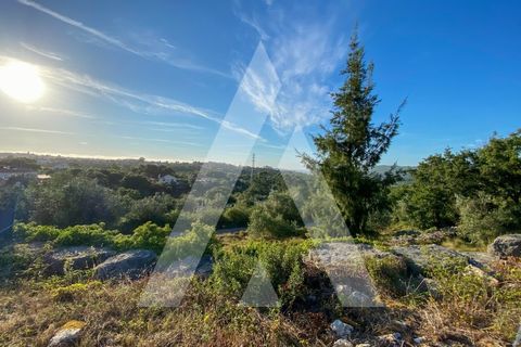 Helårsgrund i Alqueidao da Serra, Leiria, Alqueidao da Serra - € 50.000 | Ref: 1300015/23NL - foto 15